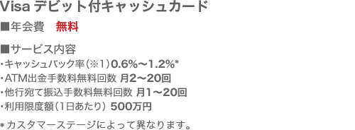 visa情報